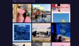 家暴男女主爆料视频播放,男女主揭露残酷真相，引发社会关注